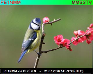 PE1NMM: 2026072117 de PI1DFT