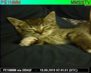 PE1NMM: 2019091907 de PI3DFT