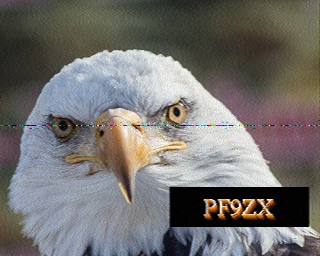 PF9ZX: 2022-08-08 de PI1DFT
